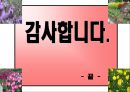 허브농장, 허브캐슬, 허브랜드 PPT자료입니다! 37페이지