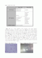 [식품미생물학실험]그람염색&카탈라아제테스트(gram staining & catalase test) 6페이지