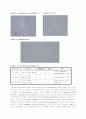 [식품미생물학실험]그람염색&카탈라아제테스트(gram staining & catalase test) 7페이지