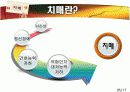 치매 문헌고찰 (ppt자료) 5페이지