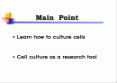 Animal cell culture PPT발표 2페이지