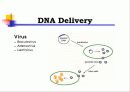 Animal cell culture PPT발표 18페이지
