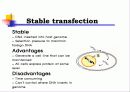 Animal cell culture PPT발표 21페이지