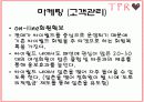 쥬얼리 온라인 사업 계획서 20페이지