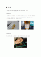 Paper Chromatography에 의한 잎의 색소 분리, 크레마토그라피 1페이지