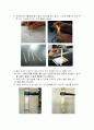 Paper Chromatography에 의한 잎의 색소 분리, 크레마토그라피 3페이지