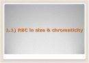 Peripheral Blood Smear 4페이지