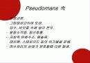 하수처리에 이용되는 미생물(파포) 9페이지