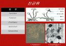 하수처리에 이용되는 미생물(파포) 16페이지