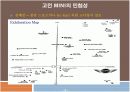 (우수평가자료)[기업분석]BMW MINI 마케팅전략 및 SWOT분석 런칭전략 5페이지