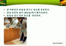 외부 자극과 귤의 당도 실험 6페이지