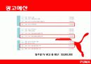 2009 퓨마 마케팅 분석 / 프로모션 전략 22페이지
