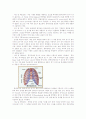 기흉(pneumothorax)에 대해 4페이지