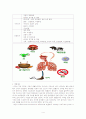 천식에 관한 요약정리 4페이지