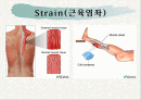 의학용어 근골격계 2페이지