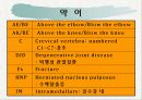 의학용어 근골격계 49페이지