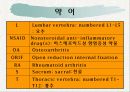 의학용어 근골격계 50페이지