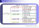 기능성 보조제의 정의와 분류 및 향후 시장 전망 7페이지