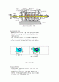 [기계요소] 펌프에 대하여(정의, 원리, 종류, 구조, 요건 등) 5페이지