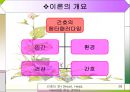 마사로저스(Martha E. Rogers) 28페이지