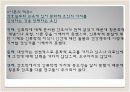 메들린 레닌저(Madeleine Leininger) 16페이지