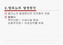 엘리뇨 현상 3페이지