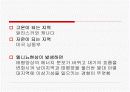 엘리뇨 현상 11페이지