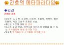 이모진 킹 19페이지