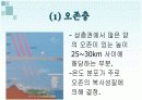 오존층 파괴 2페이지