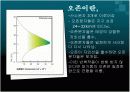 오존층 파괴 3페이지