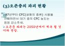 오존층 파괴 5페이지