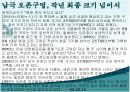 오존층 파괴 6페이지