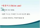 오존층 파괴 10페이지