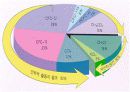오존층 파괴 11페이지