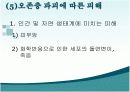 오존층 파괴 13페이지
