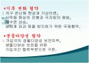 오존층 파괴 16페이지