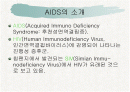 AIDS(에이즈) 2페이지