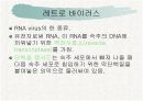 AIDS(에이즈) 4페이지