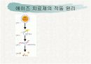 AIDS(에이즈) 19페이지