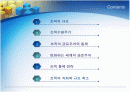(조직구조론) '조직규모, 수명주기와 쇠퇴'를 요약한 발표 파워포인트 2페이지