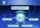 (조직구조론) '조직간관계'를 요약한 발표 파워포인트 28페이지