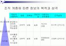 (조직구조론) `정보와 정보기술`을 요약한 발표 파워포인트 5페이지