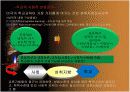 교육사회학 3장 16페이지