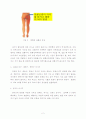 고관절 부근, 대둔근, 중군근 마사지의 수기요법적 치료방법 2페이지