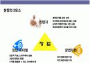 프랜차이즈 창업의 이해 5페이지