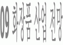 [시장조사론]2009 화장품 산업 전망 (A+리포트) 1페이지