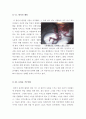 [올해최신A+자료]아일랜드[아일랜드 영화감상문][아일랜드 감상문][아일랜드 영화감상][영화 아일랜드 감상문]  4페이지