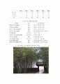 [올해최신A+자료]전북지역 문화 관광자원을 통한 지역경제 활성화 방안[전북지역 문화관광자원][전북관광][전북지역관광][관광산업][전북관광산업]  9페이지