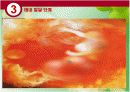 발달심리학 - 태내기 10페이지