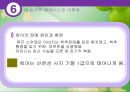발달심리학 - 태내기 39페이지